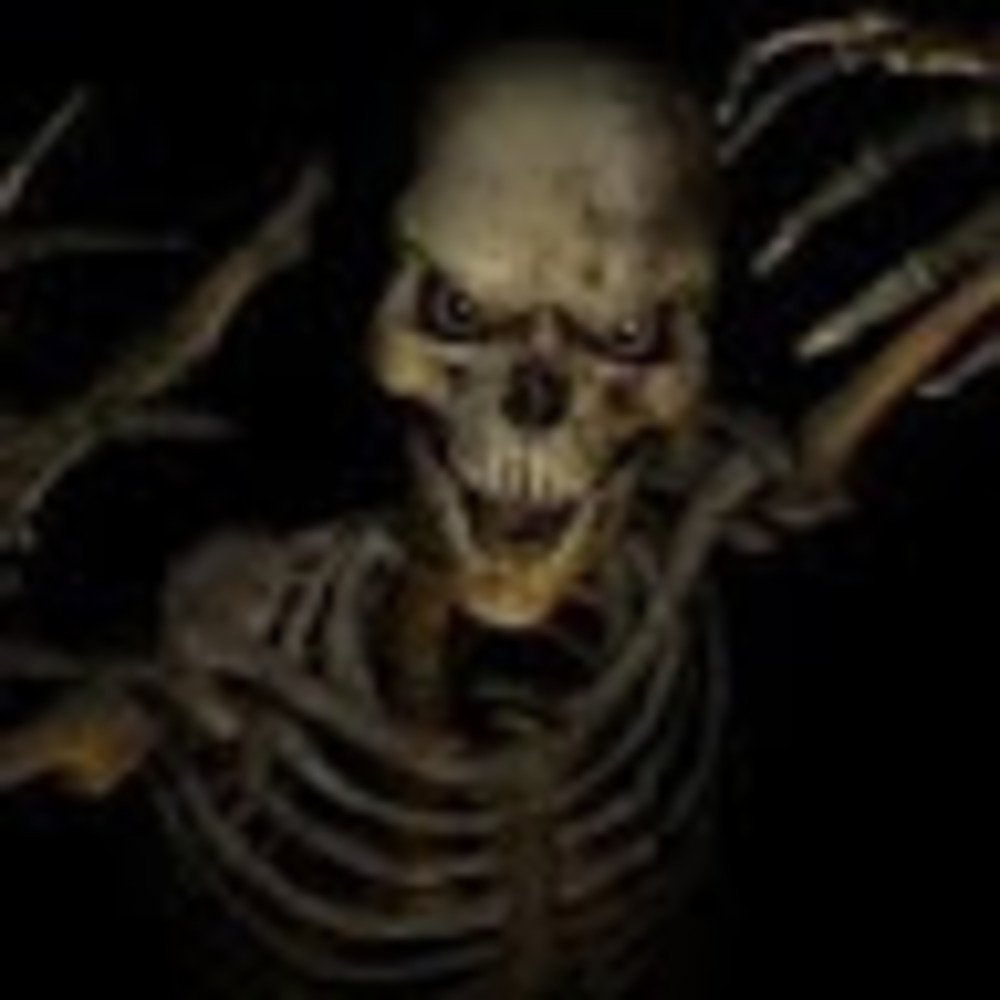 Meet your Posher, Steve